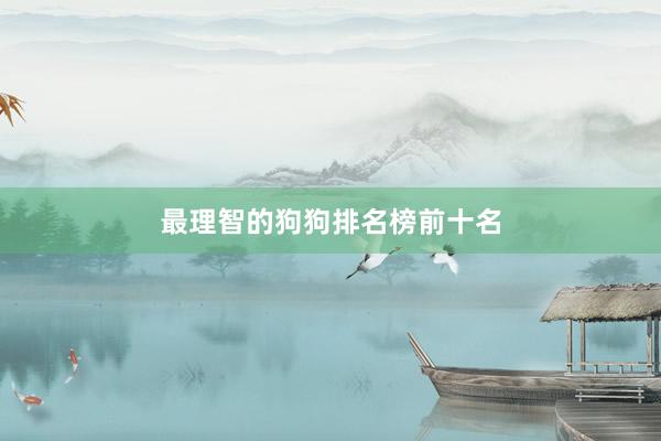 最理智的狗狗排名榜前十名