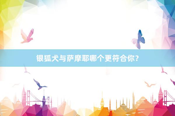 银狐犬与萨摩耶哪个更符合你？